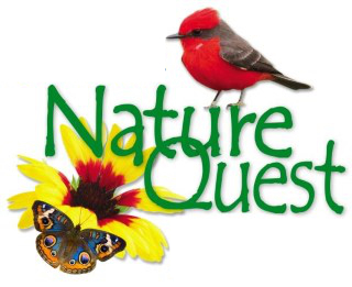 Hill Country Nature Quest - The Best Birding and all-round Nature Festival in Central Texas
