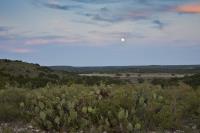 Full moon over Texas brush